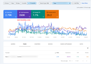 SEO Case Study - Business Consultancy